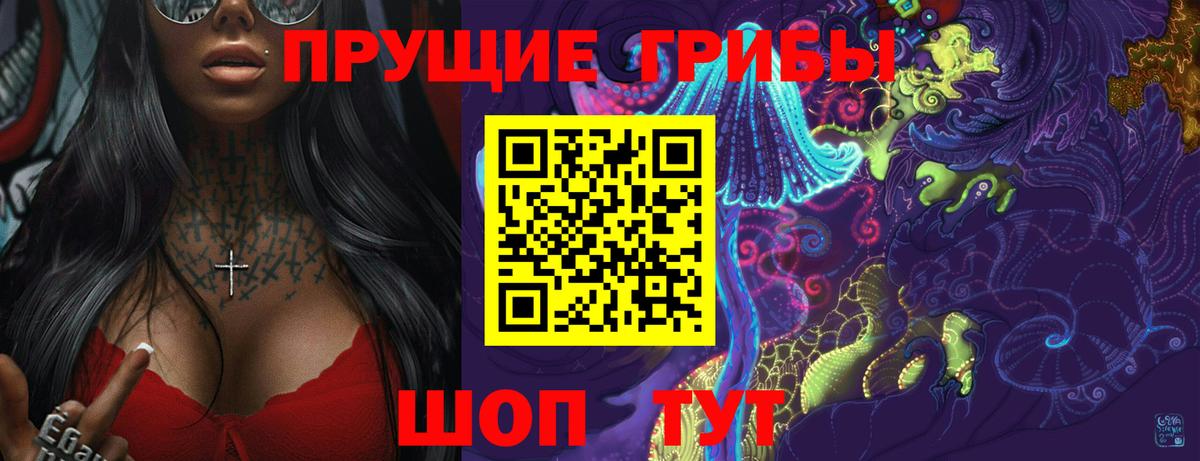 купить наркоту  Вход с VPN  Саров  Галлюциногенные грибы GOLDEN TEACHER 